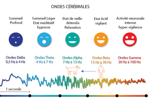 ondes